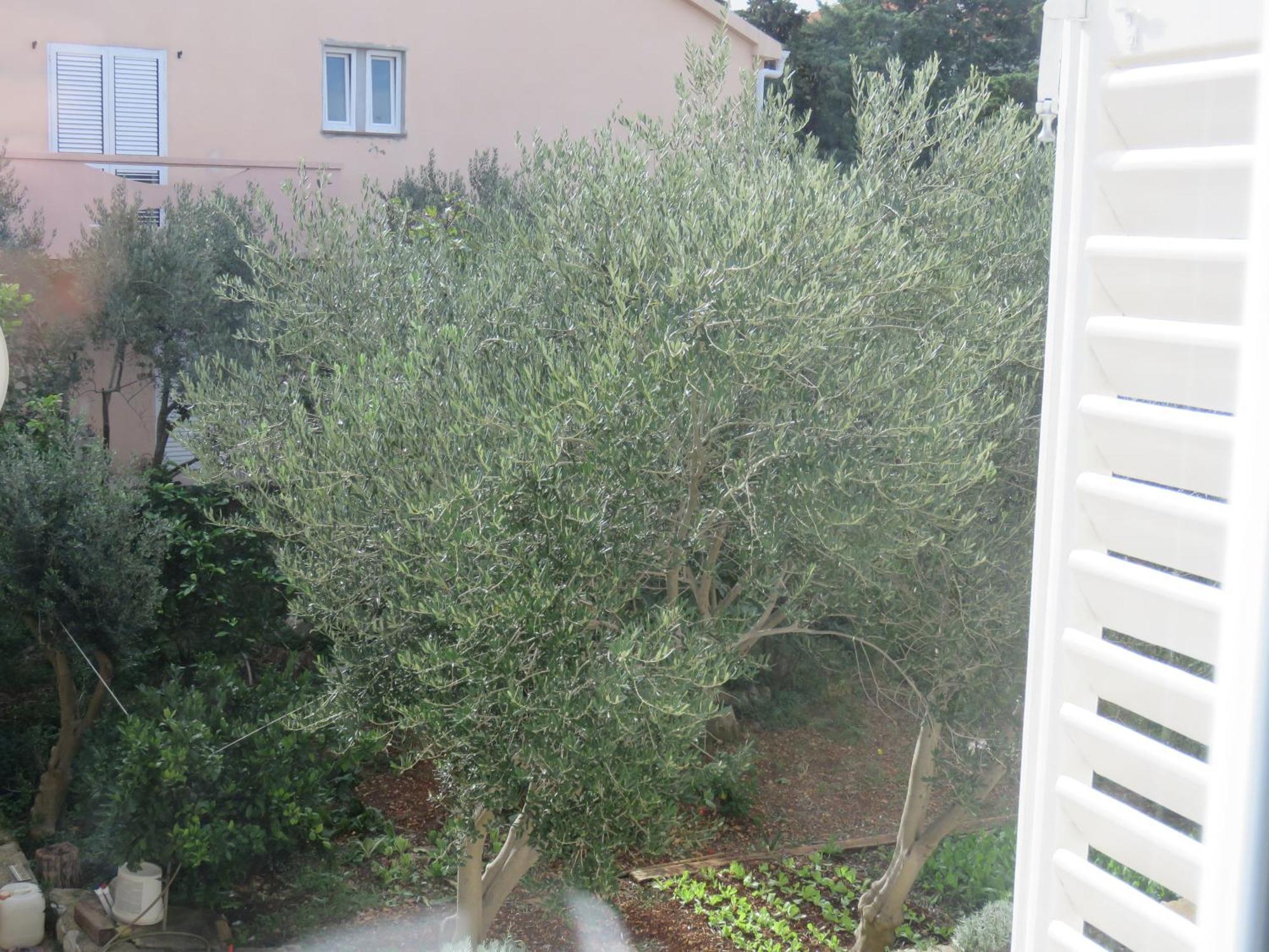 Guest House Miro نوفاليا الغرفة الصورة